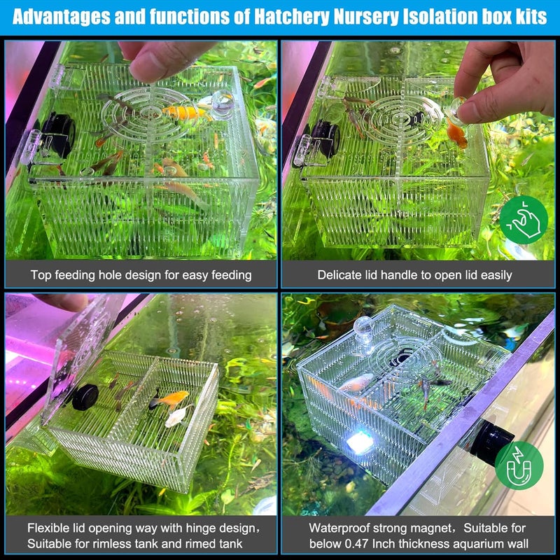NestBasics Magnetic Fish Breeder Box for Isolation Boxes (4.71 Inch with 2 Divider（Sealed Bottom Version）) - Image 3